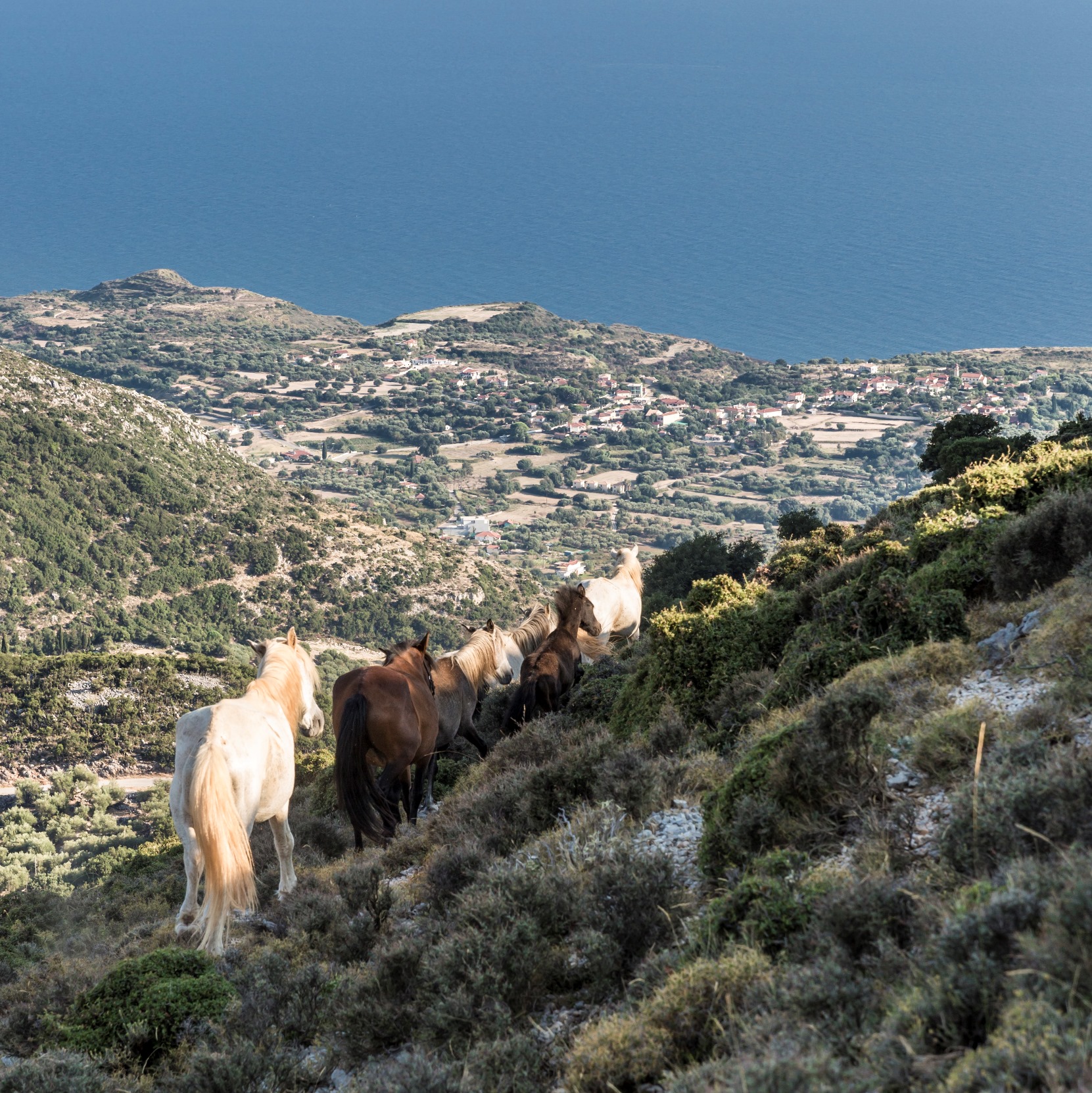 Ainos National Park